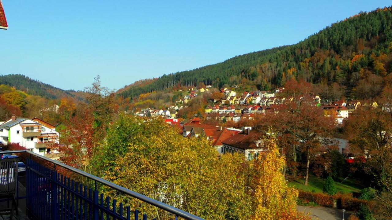 Villa Fink Schramberg Eksteriør billede